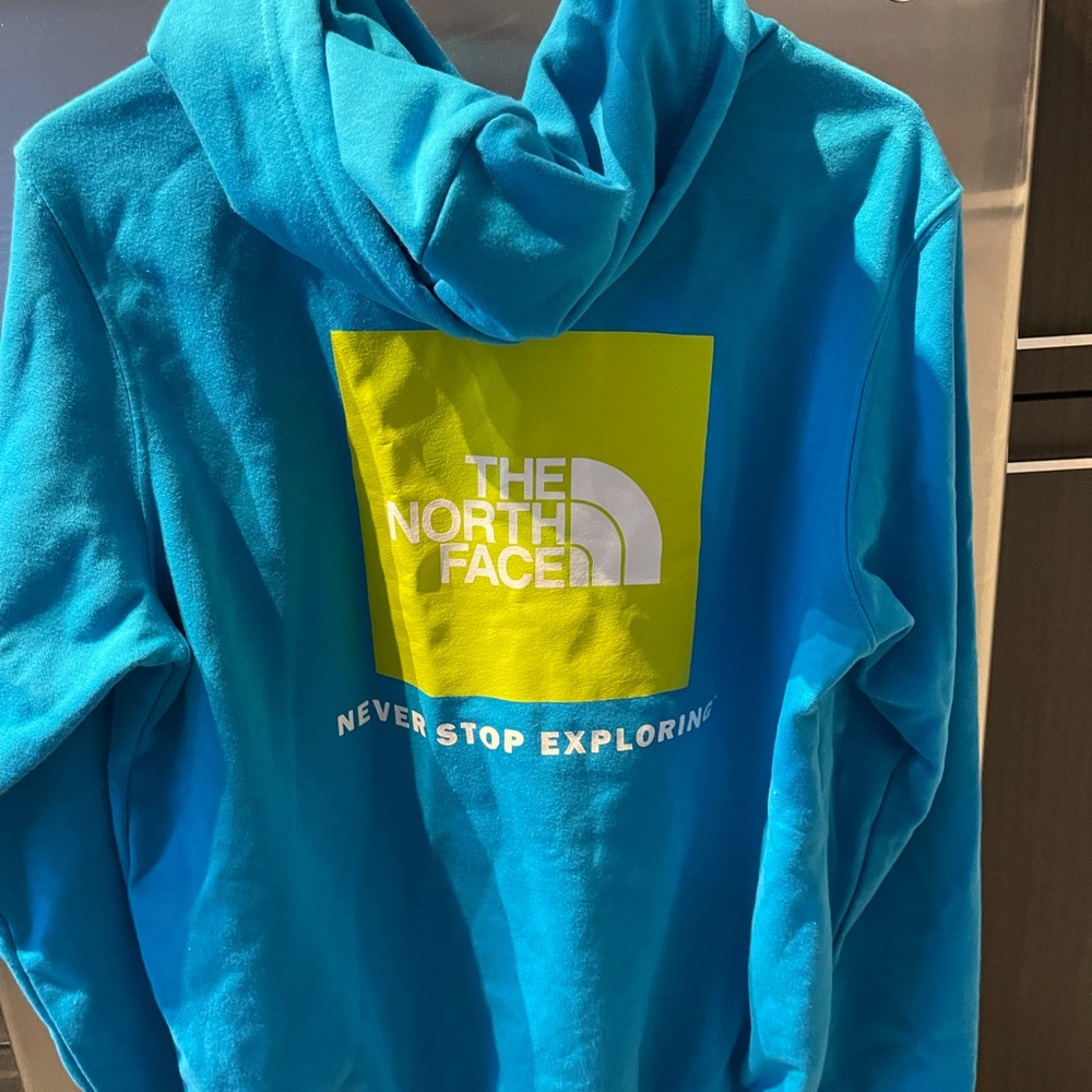 THE NORTH FACE HOODIE MERIDIAN BLUE